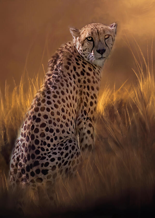 On The Prowl - Animal Print  Photograph by Harriet Feagin