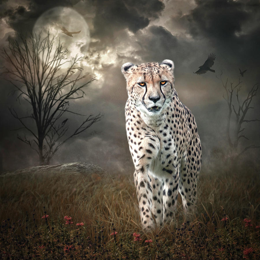 On The Prowl Digital Art by Maggy Pease
