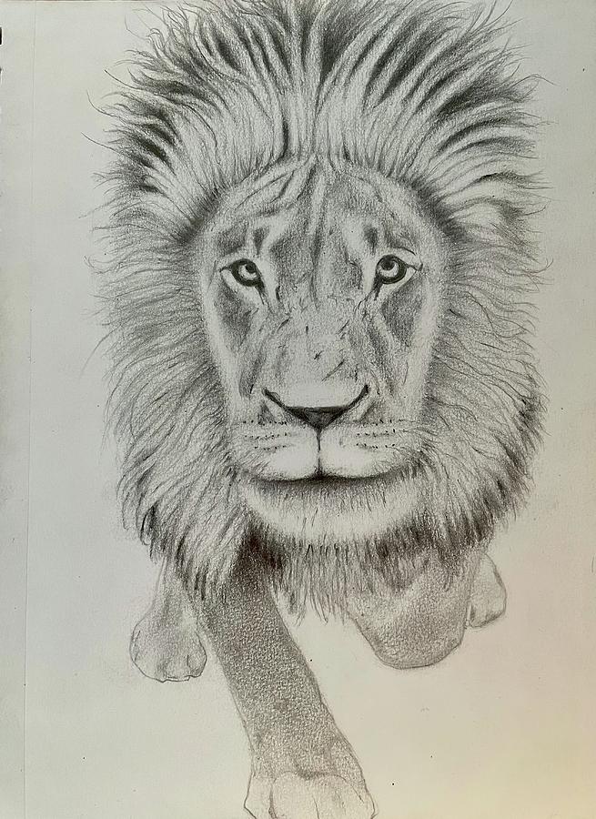 On the prowl Drawing by T Cador - Fine Art America