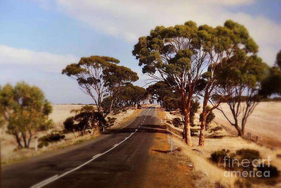 On the Road - Australia Photograph by Miriam Danar