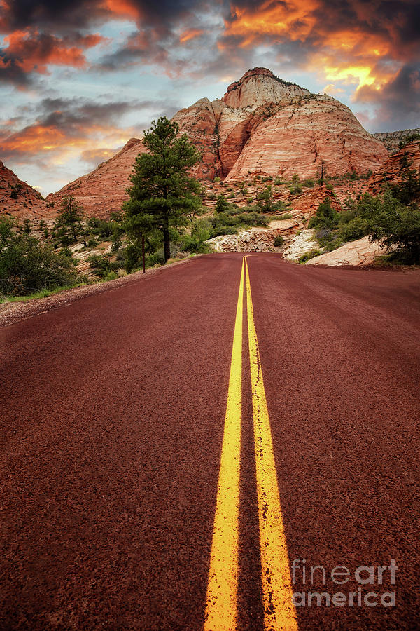 On the road in Zion at sunset, Utah, USA Photograph by Jane Rix