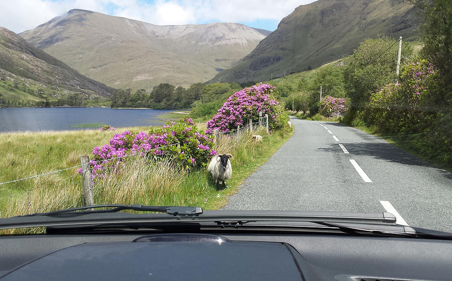 On the road Ireland Photograph by Joelle Philibert