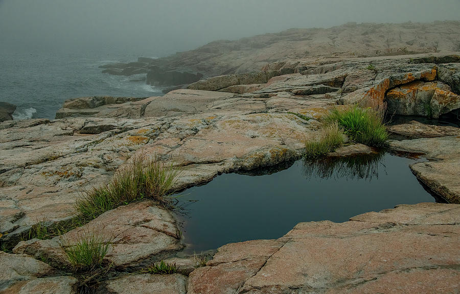 On the Rocks at Schoodic Point Photograph by Marcy Wielfaert