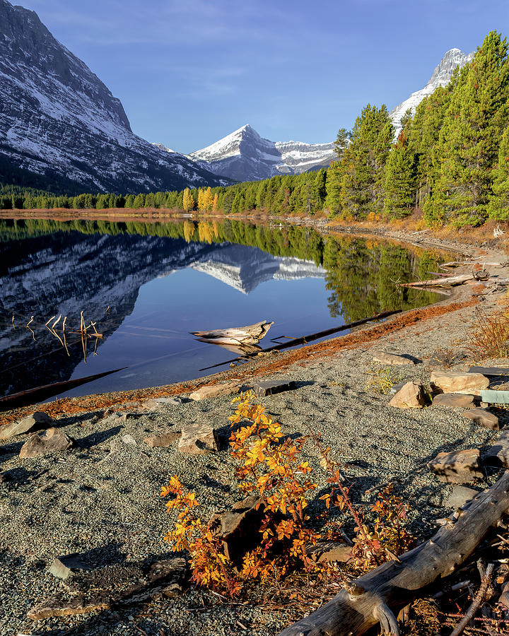 On the Shore of Swiftcurrent Lake Photograph by Jack Bell