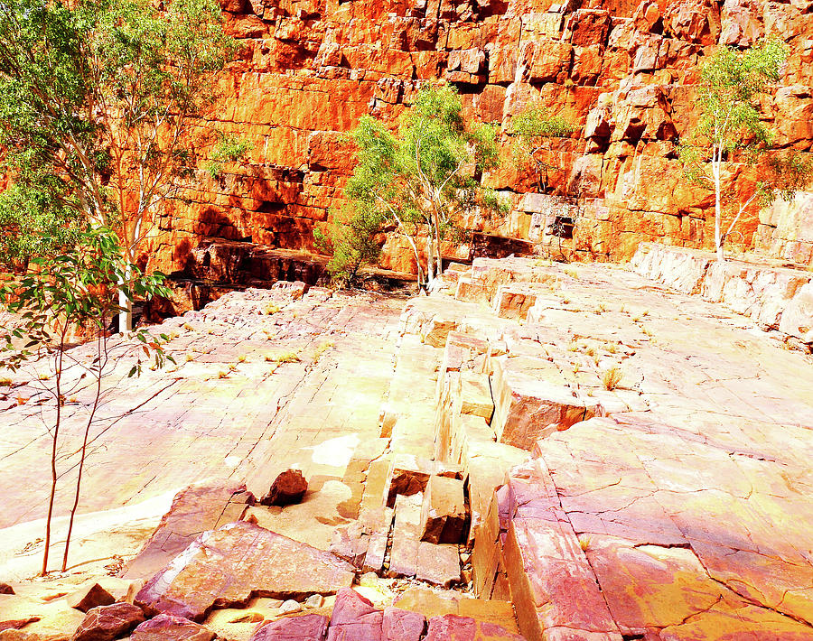 On the Steps - Oriston Gorge Photograph by Lexa Harpell