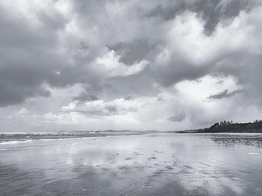 On the Tideline Black and White Photograph by Allan Van Gasbeck