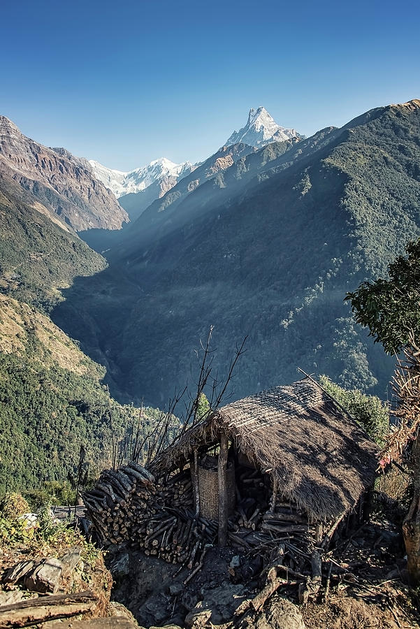 Nature Photograph - On The Way To Annapurna by Manjik Pictures