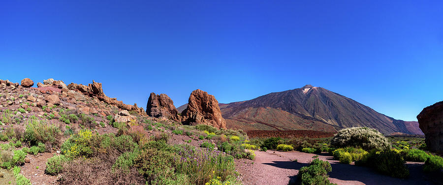 On The Way To Mount Teide Photograph