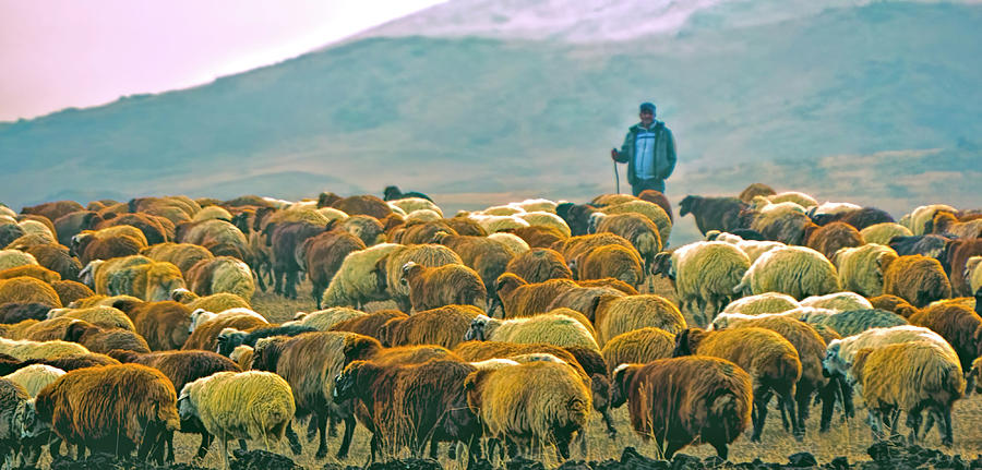 On the Way to Yerevan 2 by Claude LeTien On the Way to Yerevan 2 by Claude LeTien
