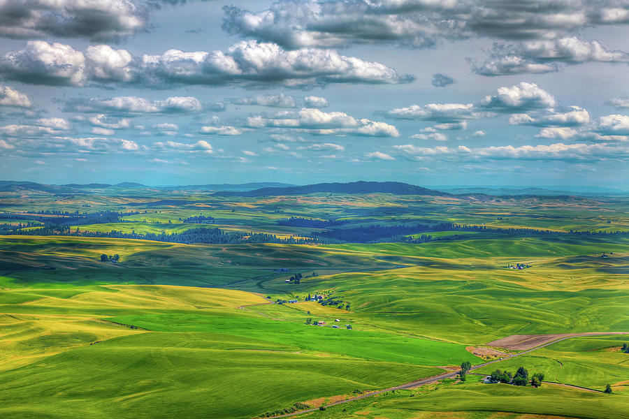 On Top of Steptoe Butte Photograph by David Patterson