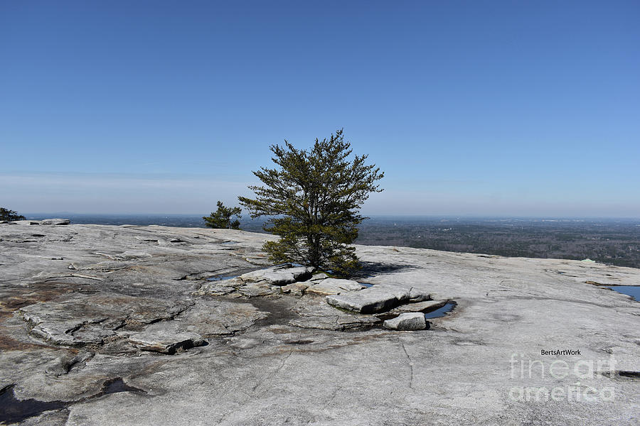 On Top of Stone Mountain Photograph by Roberta Byram