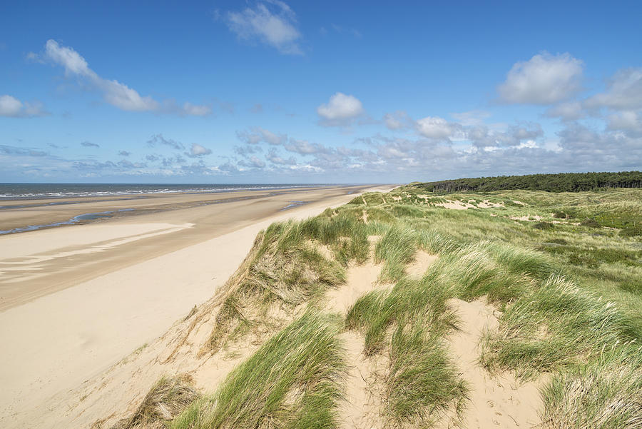 On top of the sand dunes at Formby point, Merseyside, England Photograph by Photos by R A Kearton