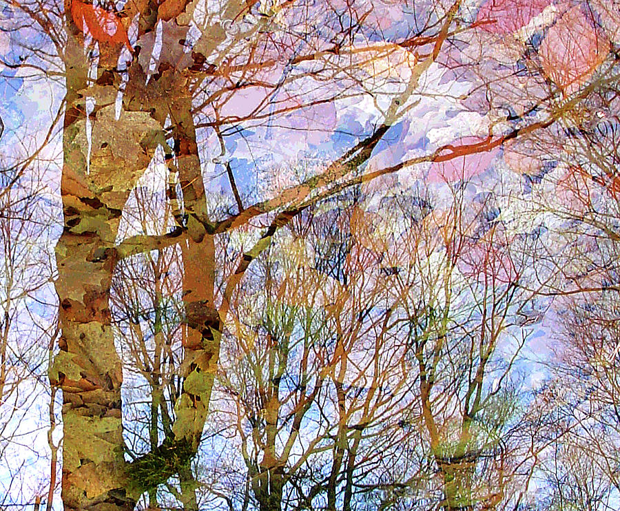 On Under and Through a Seasons Passing Digital Art by Terrance DePietro