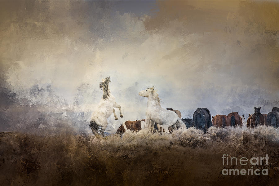 Horse Photograph - Onaqui Band by Lisa Manifold