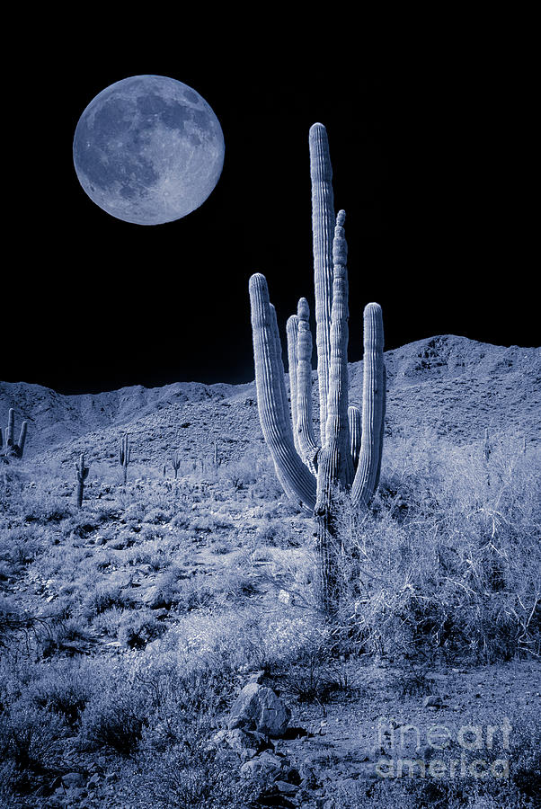Once In A Blue Moon Photograph by Kenneth Johnson