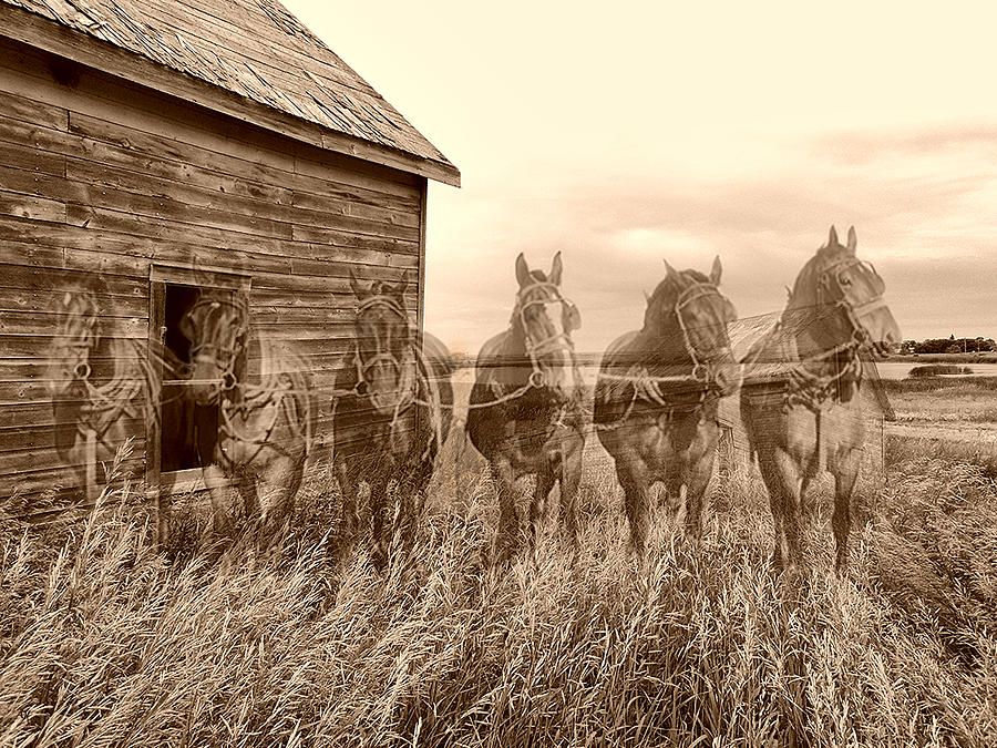 Horse Digital Art - Once Upon That Time by Carmen Hathaway