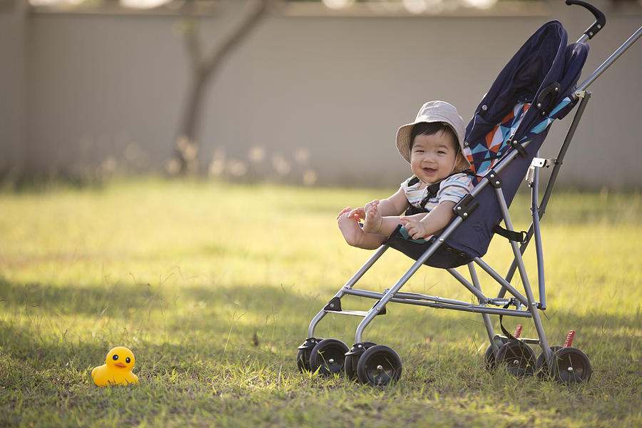 One asian toddler in stroller at garden. Photograph by Twomeows