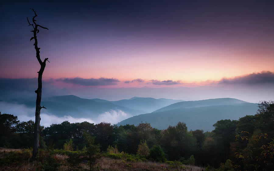 One Blue Ridge Morning Photograph by Todd Henson