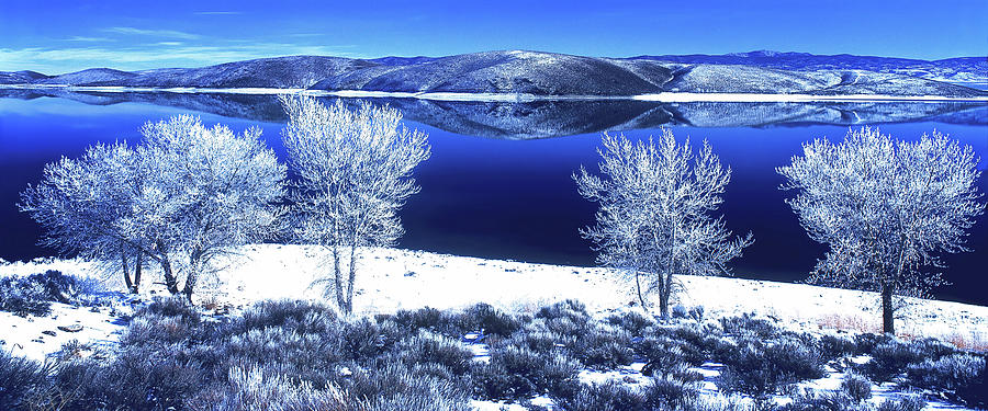 ONE COLD MORNING, Topaz Lake, California Nevada Border Photograph by Don Schimmel