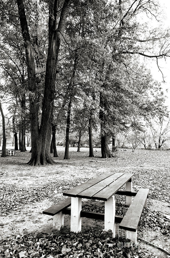 One Day at Johnson Park in New Jersey Photograph by John Rizzuto