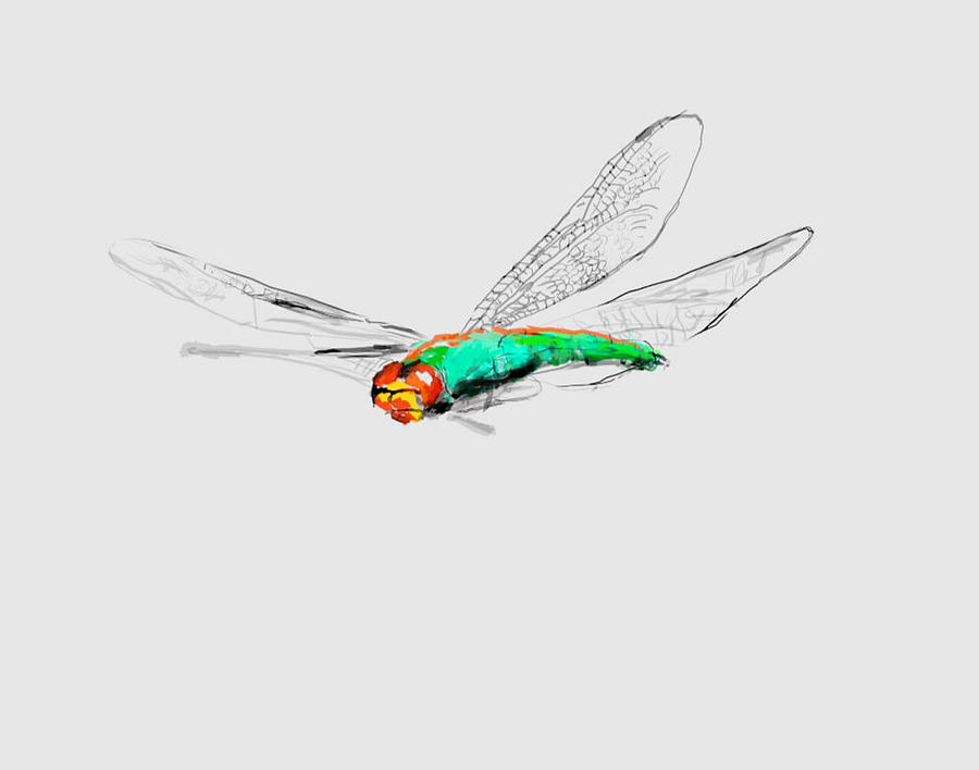 One dragonfly Digital Art by Debbi Saccomanno Chan