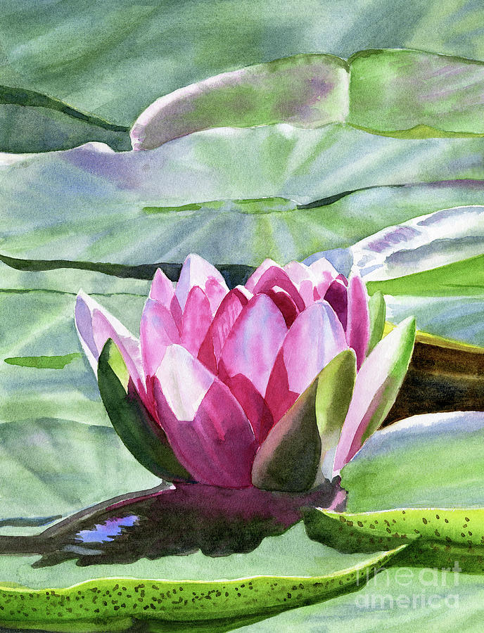 One Magenta Water Lily Vertical Design Painting by Sharon Freeman