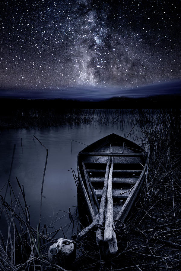 Nature Photograph - One more night by Jorge Maia