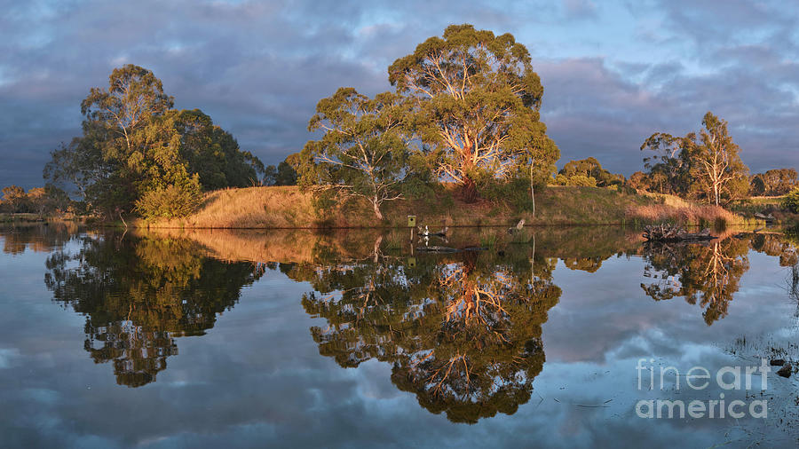 One Morning In the Wetlands Photograph by Neil Maclachlan