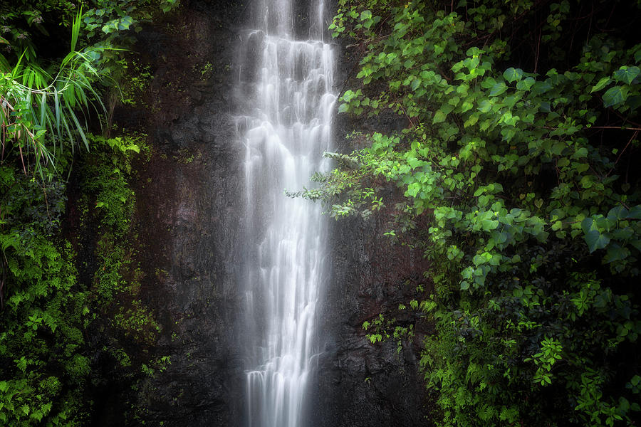 Paihi Falls Is One Of The Many Waterfalls In The Lush Rainforest Along 