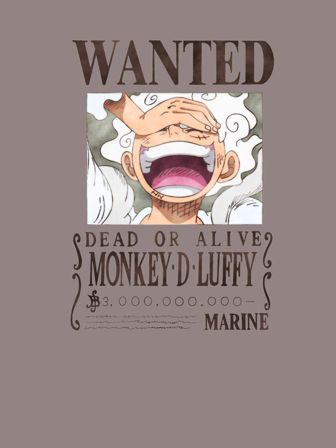 One Piece Luffy, anime, luffy, monkey d luffy, mugiwara, one piece