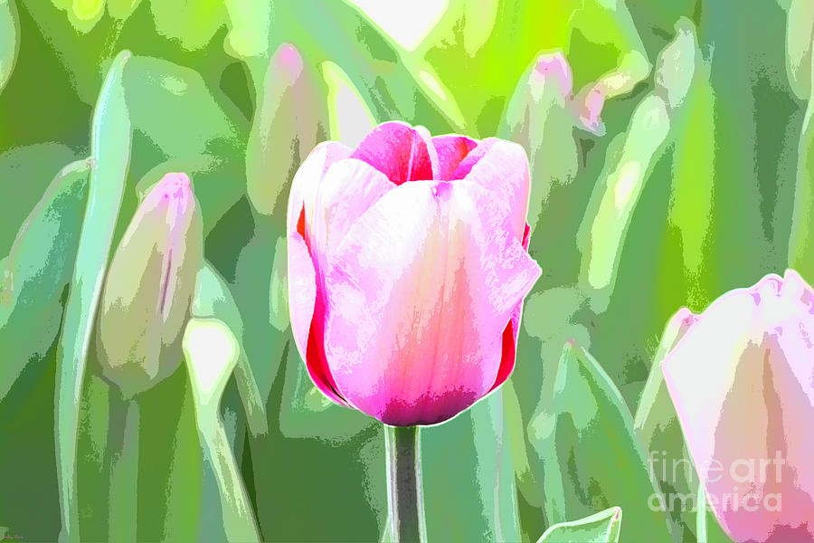 One Pink Tulip Digital Art by Bentley Davis