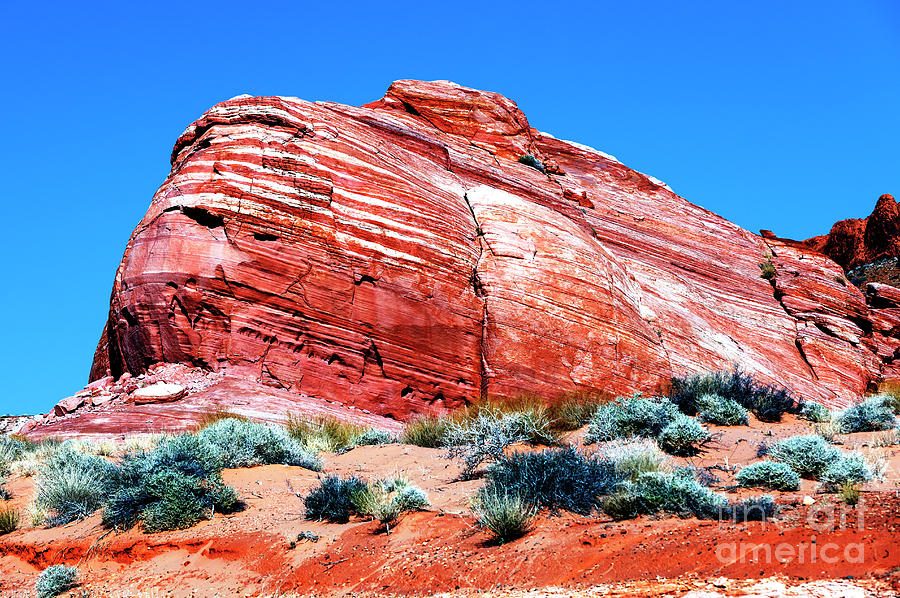 One Red Rock at the Valley of Fire Photograph by John Rizzuto