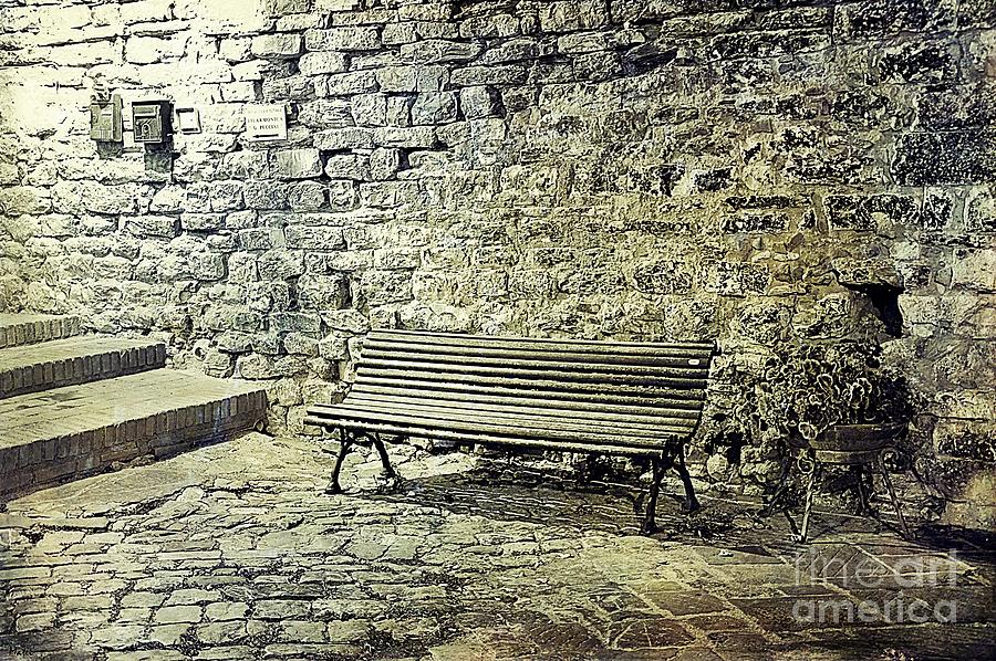 One Romantic Bench in Black and White Photograph by Ramona Matei