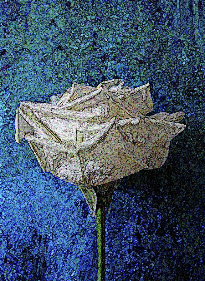 One Rose Photograph by Corinne Carroll
