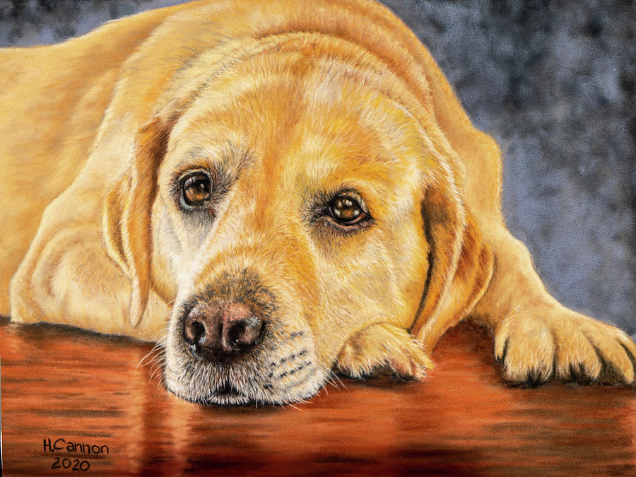 Dog Pastel - One Sweet Girl by Holly Cannon