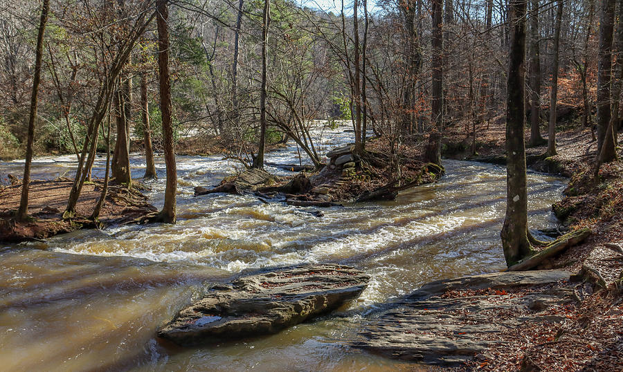 One Sweetwater Creek Perspective Photograph