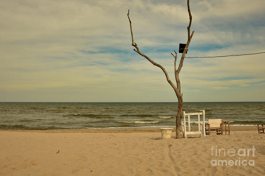 One tree beach  Photograph by Yavor Mihaylov