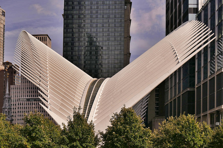 One World Trade Centre Transportation Hub by Santiago Calatrava in Manhattan, New York, USA Photograph by Photo by Victor Ovies Arenas