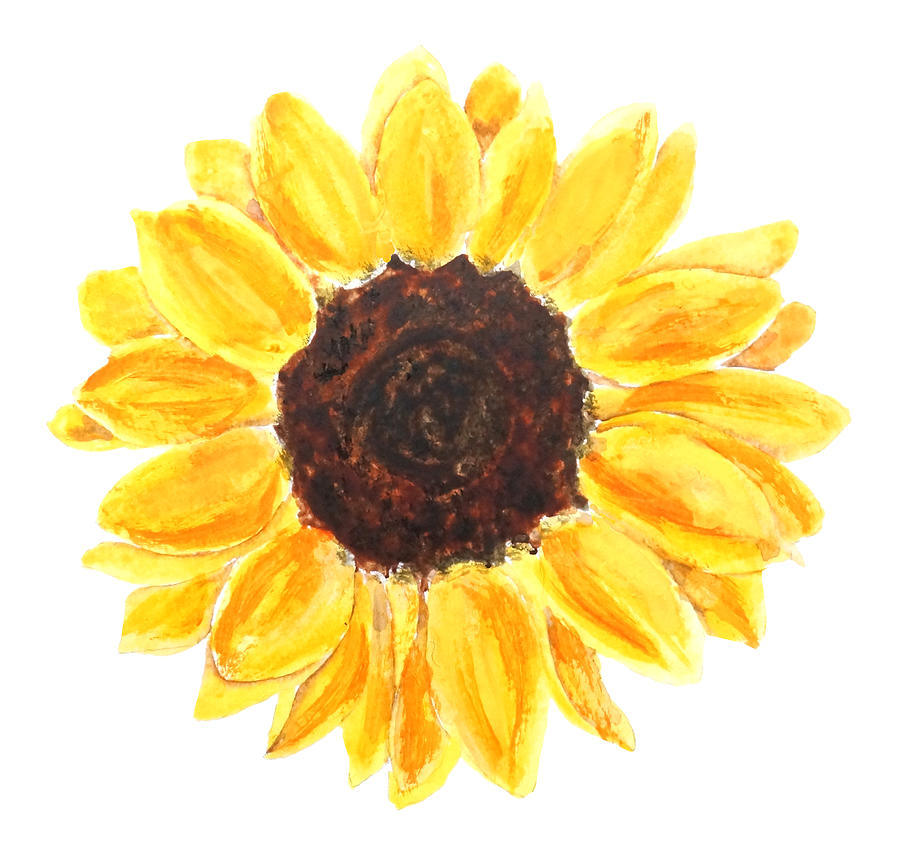 Flower Painting - One Yellow Sunflower Watercolor by Color Color