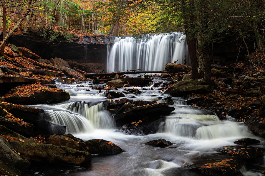 Oneida Falls at Ricketts Glen State Park in Benton, PA Photograph by ...