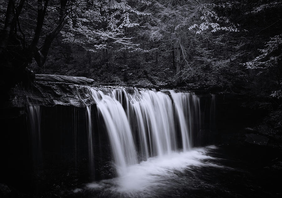 Oneida Falls Black And White Photograph by Dan Sproul