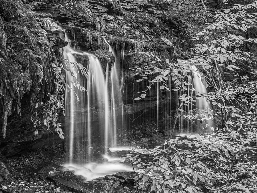 Oneida Falls Ricketts Glen State Park PA Photograph by Tim Fitzharris