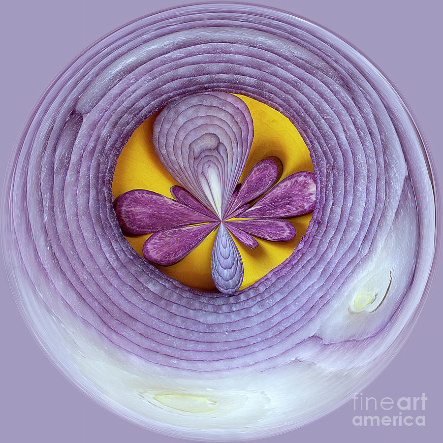 Abstract Digital Art - Onion and Sweet Potato Orb 2 by Elisabeth Lucas