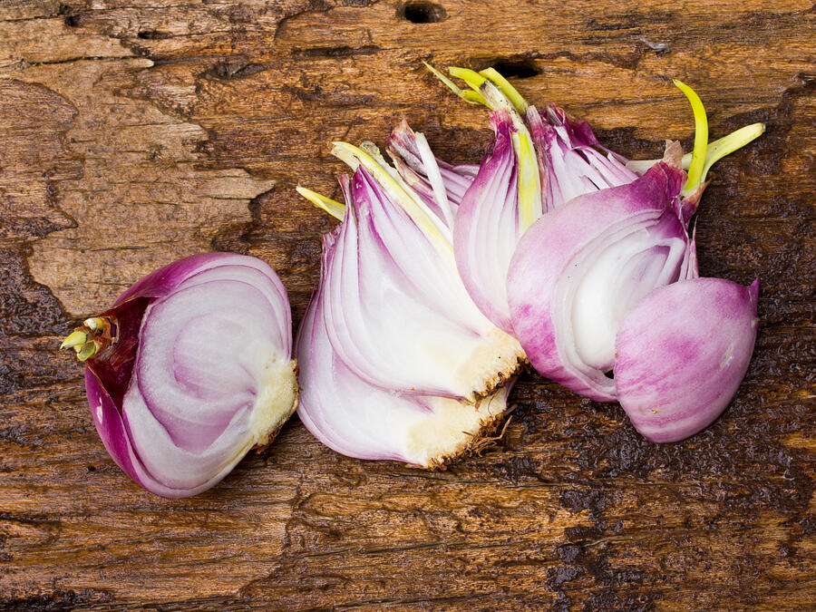 Onion Bulb And Sliced Onions On Wooden Photograph by Kurapy11