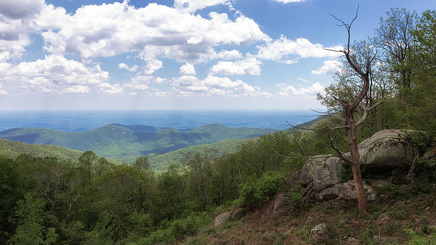 Onion Mountain Overlook - Blue Ridge Mountains Photograph by Susan Rissi Tregoning