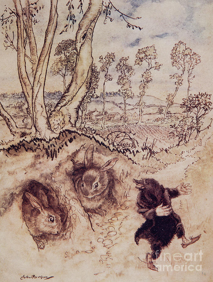 Onion sauce he remarked jeeringly Painting by Arthur Rackham