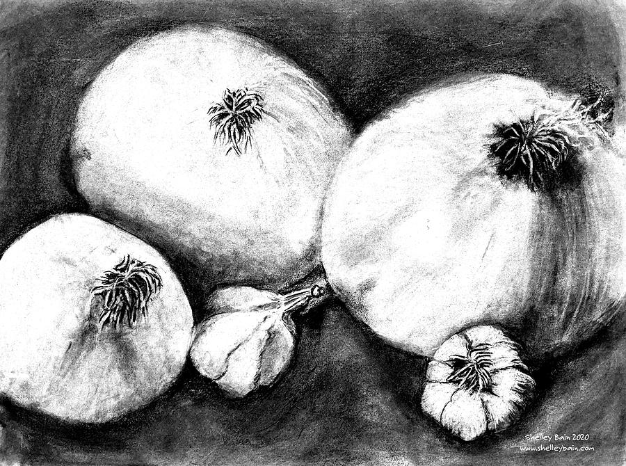 Onions and garlic Drawing by Shelley Bain