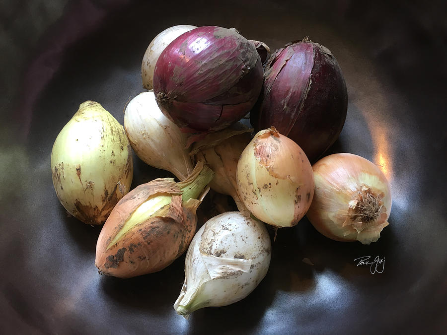 Onions Photograph by Paul Gaj
