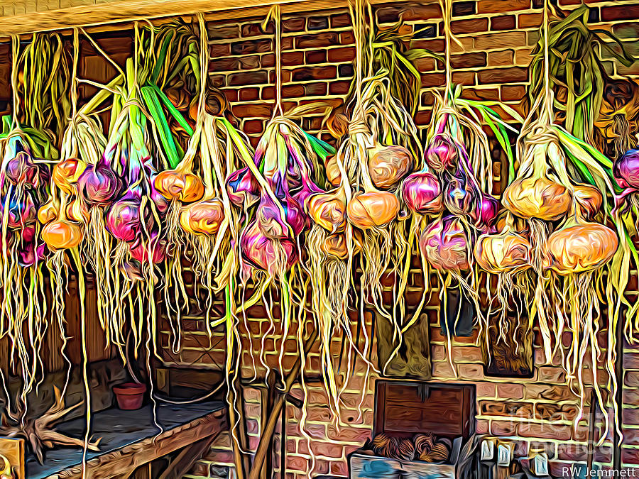 Onions. Strings Of Multicoloured Onions Hanging And Drying In An Old Shed In An Expressionism Style Photograph