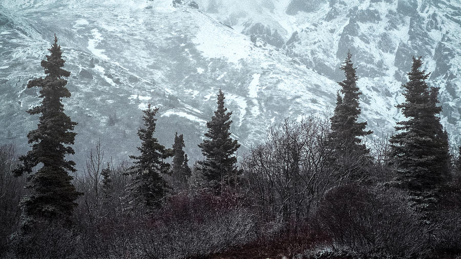 Only In Alaska 10 Photograph by Robert Fawcett